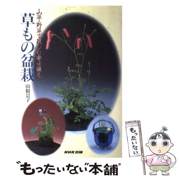 【中古】 草もの盆栽 山草 野草で親しむ寄せ植え / 山根 景子 / NHK出版 単行本 【メール便送料無料】【あす楽対応】