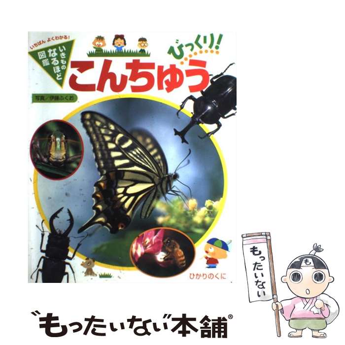 【中古】 こんちゅうびっくり！ / 伊藤 ふくお / ひかりのくに [大型本]【メール便送料無料】【最短翌日配達対応】