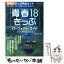 【中古】 青春18きっぷパーフェクト・ガイド 2004ー2005 / 神戸 寧彦 / イカロス出版 [ムック]【メール便送料無料】【あす楽対応】