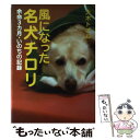  風になった名犬チロリ 余命3カ月・いのちの記録 / 大木 トオル / 岩崎書店 