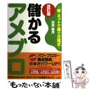  儲かるアメブロ 新・ネットで稼ぐ方程式 改訂版 / 田渕 隆茂 / ソシム 