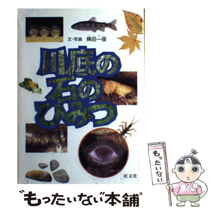 【中古】 川底の石のひみつ / 稗田 一俊 / 旺文社 [単行本]【メール便送料無料】【あす楽対応】