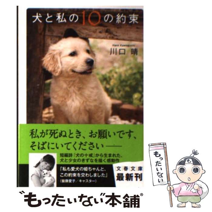 【中古】 犬と私の10の約束 / 川口 晴 / 文藝春秋 [文庫]【メール便送料無料】【あす楽対応】