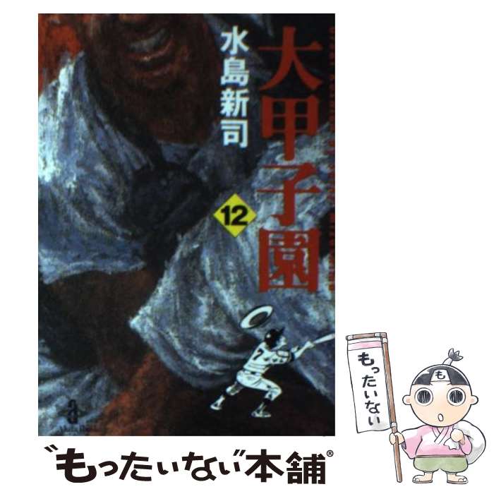 【中古】 大甲子園 12 / 水島 新司 / 秋田書店 [文