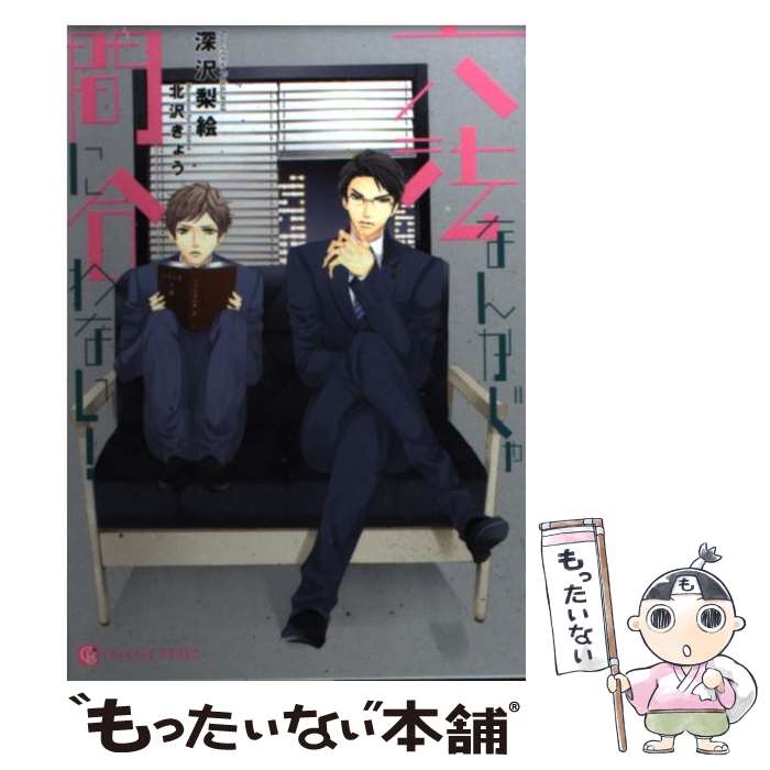 【中古】 六法なんかじゃ間に合わない！ / 深沢 梨絵, 北沢 きょう / 二見書房 [文庫]【メール便送料無料】【最短翌日配達対応】