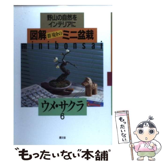 š ޲򷲶Υߥߺ μ򥤥ƥꥢ 6 /   / ¼ʸ [ñ]ڥ᡼̵ۡںûãб