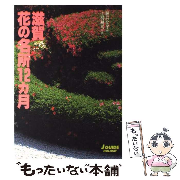 【中古】 滋賀花の名所12カ月 / 藤井 文子 / 山と溪谷社 単行本 【メール便送料無料】【あす楽対応】