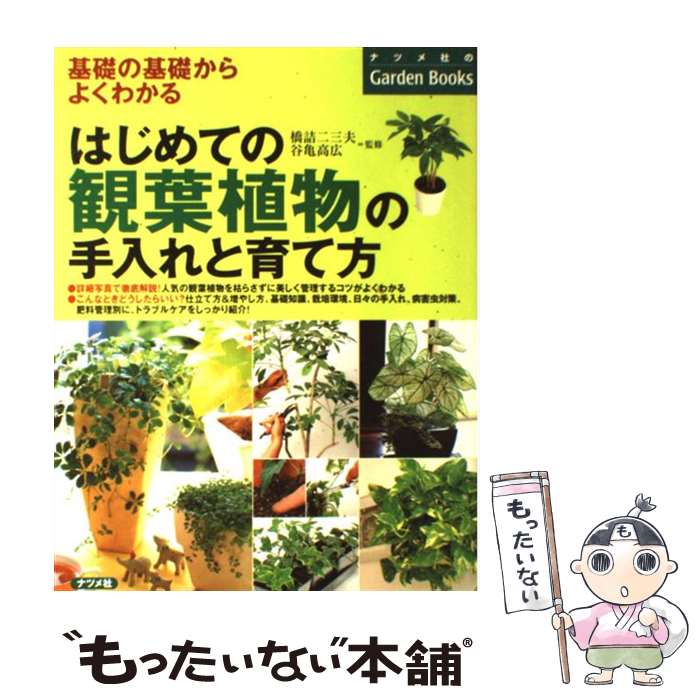 š ϤƤδտʪμȰ äδä褯狼 / ë ⹭,   / ʥĥ [ñܡʥեȥС]ڥ᡼̵...