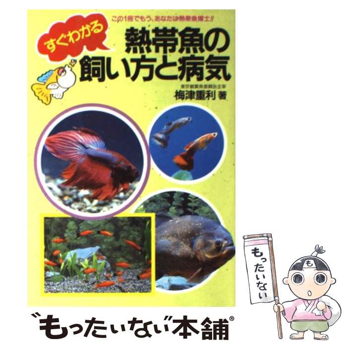 【中古】 すぐわかる　熱帯魚の飼い方と病気 この1冊でもう、あなたは熱帯魚博士！！ / 梅津 重利 / 高橋書店 [単行本]【メール便送料無料】【あす楽対応】