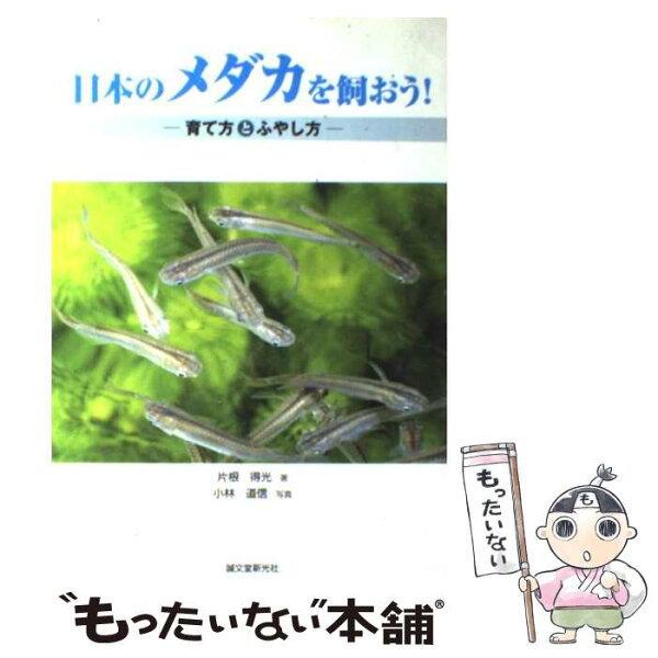 中古 日本のメダカを飼おう 育て方とふやし方/片根得光,小林道信/誠文堂新光社 単行本 メール便 あす楽対応