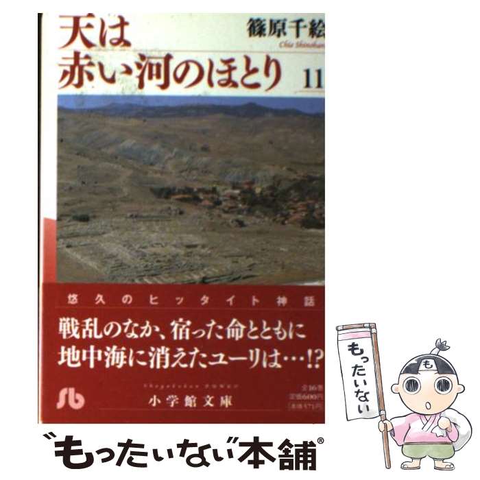 š ŷ֤ϤΤۤȤ 11 / ĸ 鳨 / ش [ʸ]ڥ᡼̵ۡںûãб