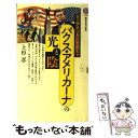  新書アメリカ合衆国史 3 / 上杉 忍 / 講談社 