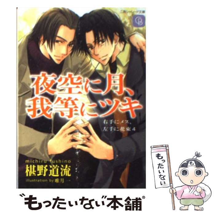 š ˷˥ĥ ˥᥹˲«4 / ܻ ƻή, ͣ  / 󸫽˼ [ʸ]ڥ᡼̵ۡںûãб