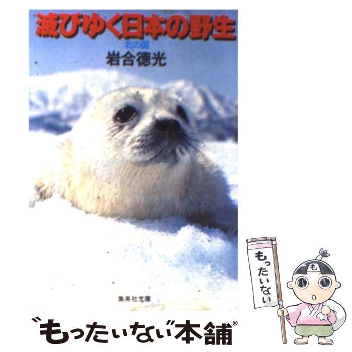 【中古】 滅びゆく日本の野生 北の国 / 岩合 徳光 / 集英社 [文庫]【メール便送料無料】【あす楽対応】