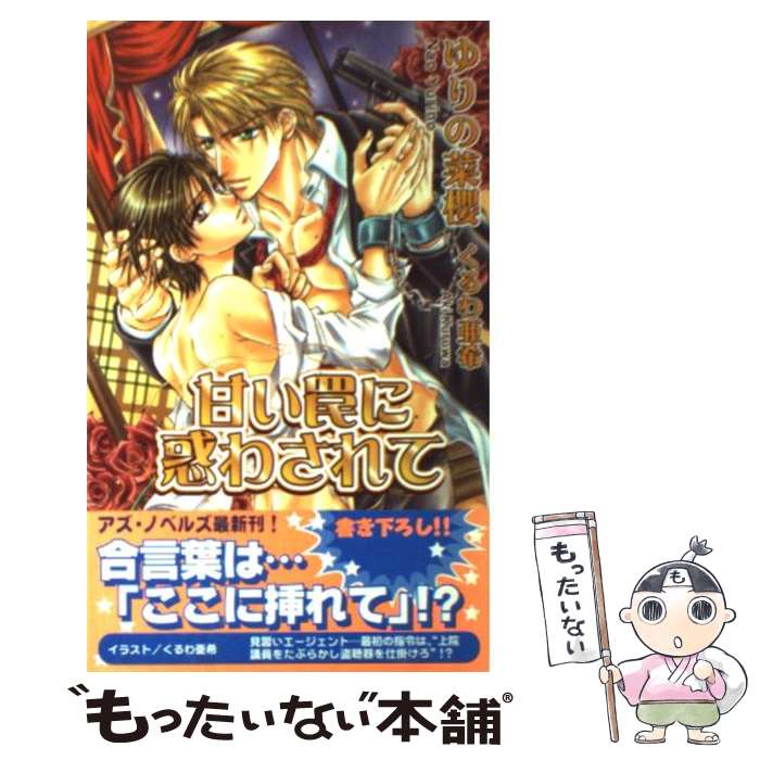 š Ť櫤Ǥ蘆 /  ݯ,   / ȥץ쥹 []ڥ᡼̵ۡںûãб