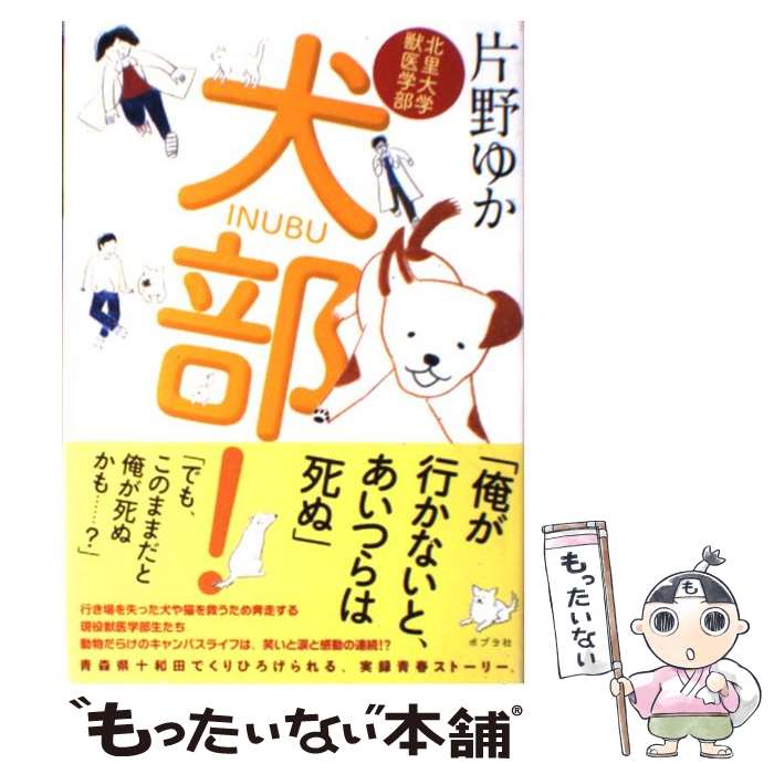 【中古】 犬部！ 北里大学獣医学部 / 片野ゆか / ポプラ社 単行本 【メール便送料無料】【あす楽対応】