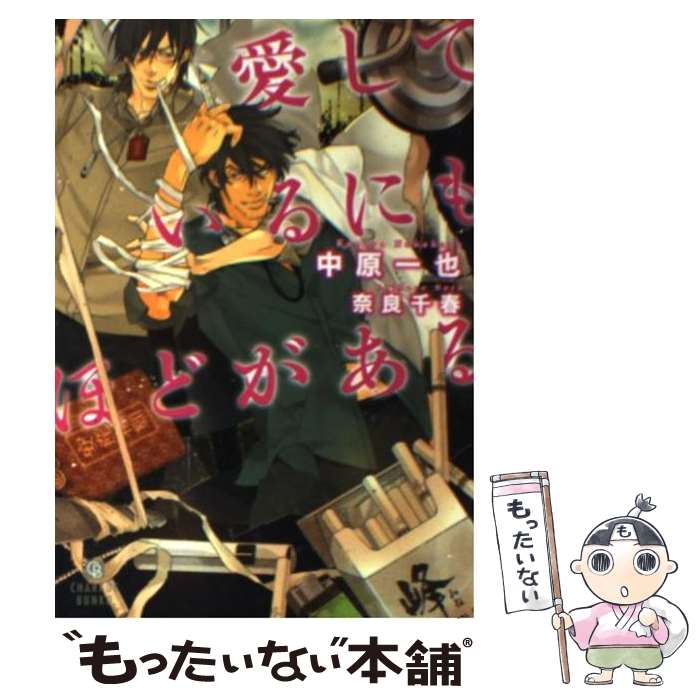 【中古】 愛しているにもほどがある / 中原 一也, 奈良 