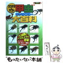 【中古】 クワガタ＆カブト甲虫キャラクター大百科 113種類の甲虫が登場！ / ぽにーてーる / カンゼン 単行本（ソフトカバー） 【メール便送料無料】【あす楽対応】