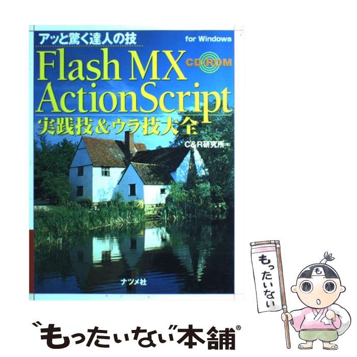 【中古】 Flash　MX　ActionScript実践技