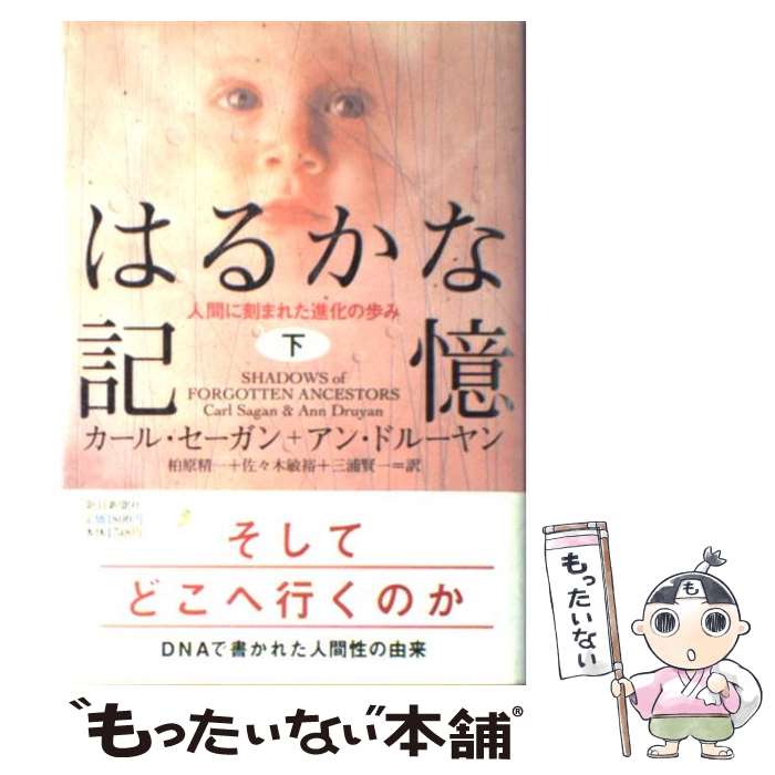 【中古】 はるかな記憶 人間に刻まれた進化の歩み 下 / カール セーガン アン ドルーヤン 柏原 精一 / 朝日新聞出版 [単行本]【メール便送料無料】【あす楽対応】