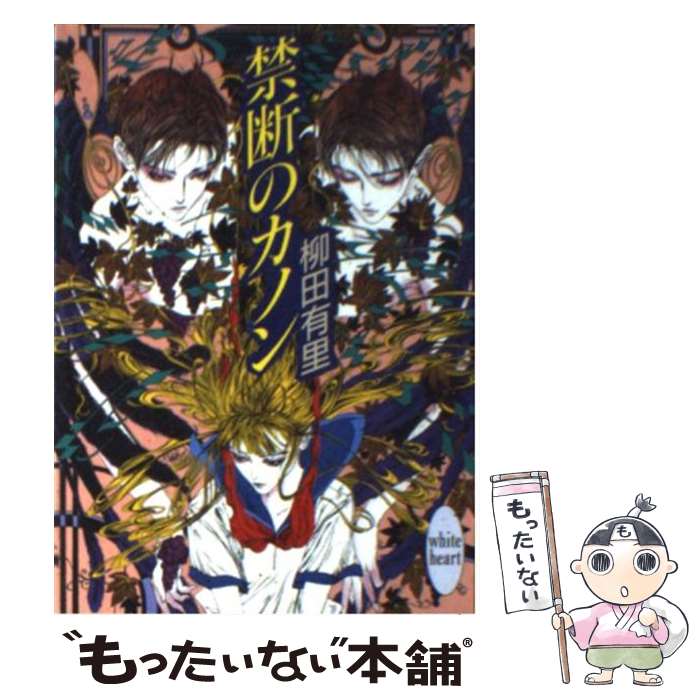 【中古】 禁断のカノン / 柳田 有里,