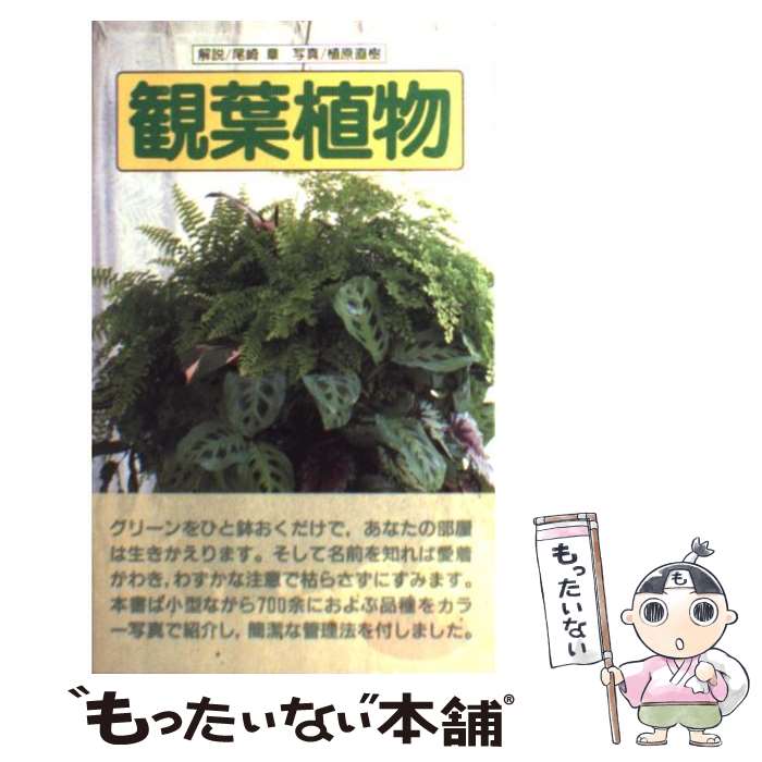 š տʪ /   / ë []ڥ᡼̵ۡںûãб