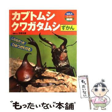 【中古】 カブトムシ　クワガタムシずかん しらなかったひみつがわかる / 今森 光彦 / ひかりのくに [大型本]【メール便送料無料】