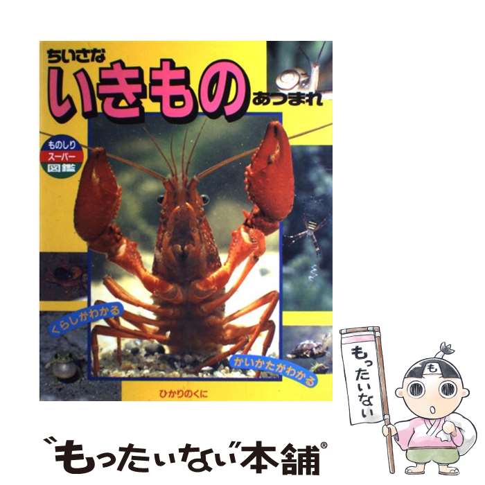 【中古】 ちいさないきものあつまれ くらしがわかる / 伊藤 ふくお / ひかりのくに [大型本]【メール便送料無料】【あす楽対応】