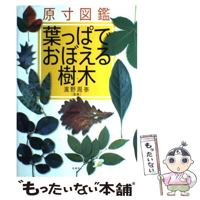 ����š� �����޴��դäѤǤ��ܤ������ / ���˼ / ���˼ [ñ����]�ڥ᡼��������̵���ۡں�û������ã�б���