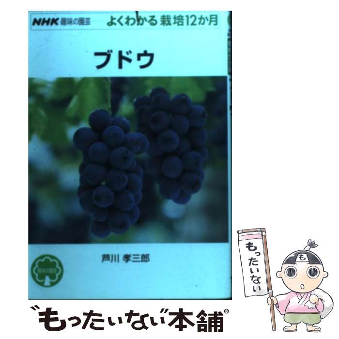 【中古】 ブドウ / 芦川 孝三郎 / NHK出版 [単行本（ソフトカバー）]【メール便送料無料】【最短翌日配..