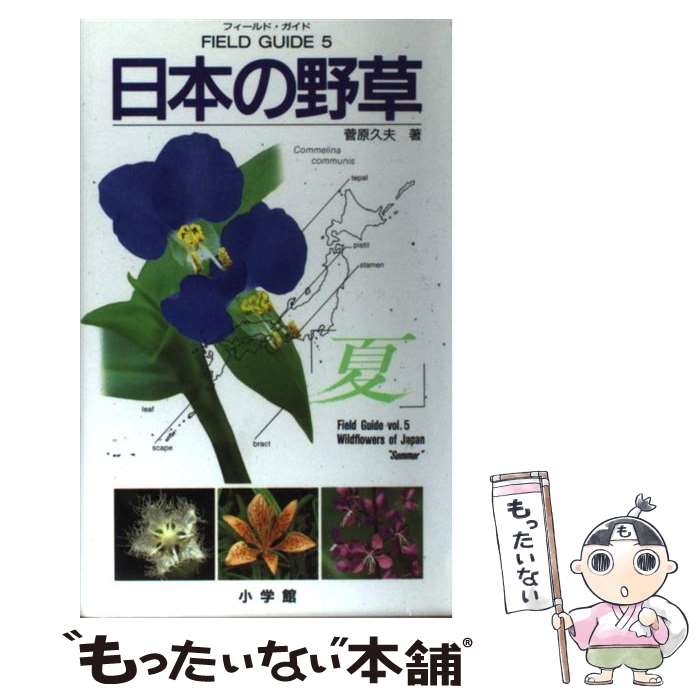 【中古】 日本の野草 夏 / 菅原 久夫 / 小学館 [単行本]【メール便送料無料】【あす楽対応】