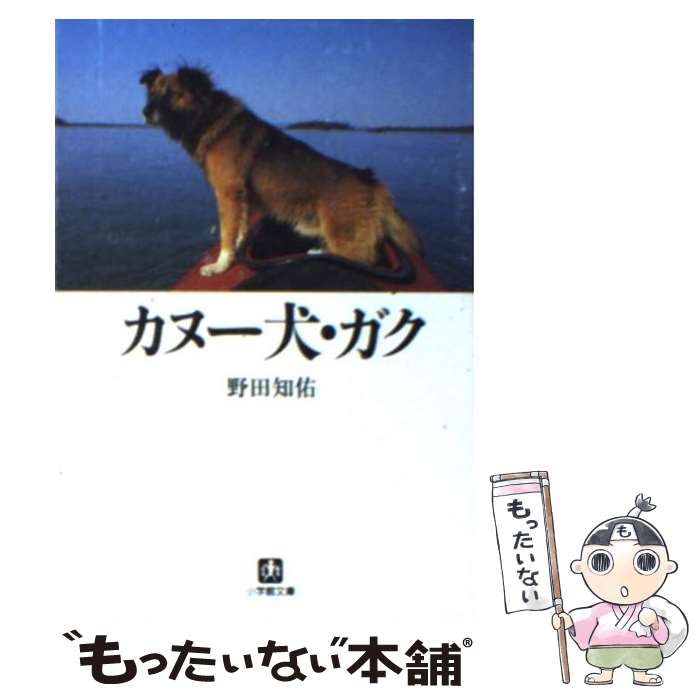 【中古】 カヌー犬・ガク / 野田 知佑 / 小学館 [文庫]【メール便送料無料】【あす楽対応】