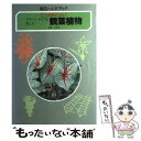 【中古】 観葉植物 ここがポイント！ グリーンライフを楽しむ / 佐野 文夫 / 学研プラス 単行本 【メール便送料無料】【あす楽対応】