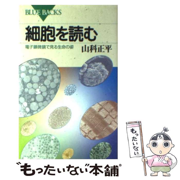 【中古】 細胞を読む 電子顕微鏡で見る生命の姿 / 山科 正平 / 講談社 [新書]【メール便送料無料】【最..