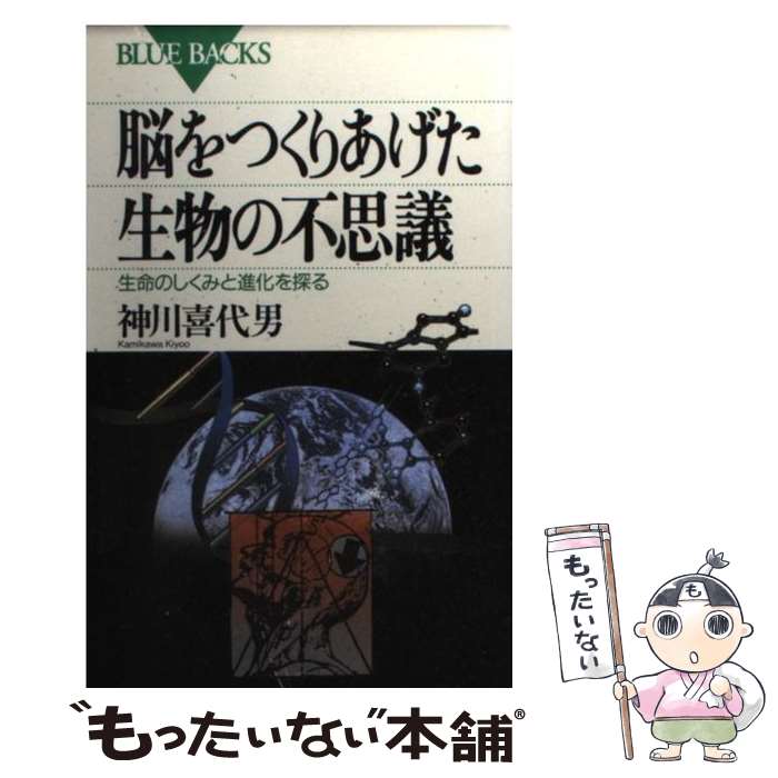 【中古】 脳をつくりあげた生物の不思議 生命のしくみと進化を探る / 神川 喜代男 / 講談社 [新書]【メ..