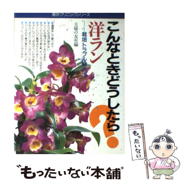 【中古】 洋ラン こんなときどうしたら？ 栽培トラブル解決法 / 新井 清彦, 主婦の友社 / 主婦の友社 単行本 【メール便送料無料】【あす楽対応】