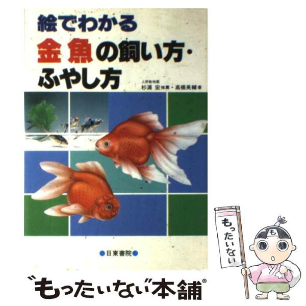 中古 絵でわかる金魚の飼い方・ふやし方/高橋英輔/日東書院本社 単行本 メール便 あす楽対応