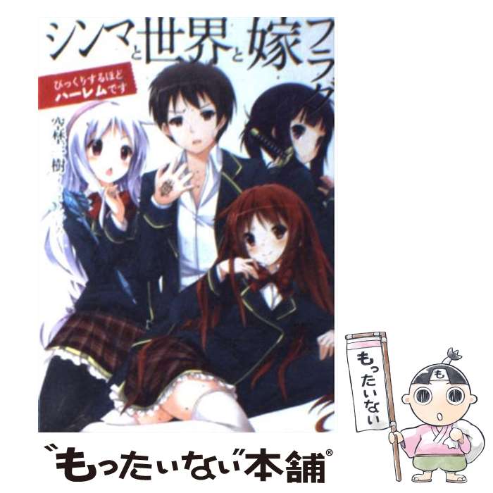  シンマと世界と嫁フラグ びっくりするほどハーレムです / 空埜一樹, にろ / ホビージャパン 