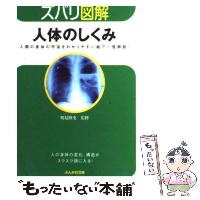 š ΤΤ / ḫδ / ֤󤫼 [ʸ]ڥ᡼̵ۡںûãб