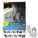 【中古】 うちねこ写真集...