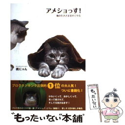 【中古】 アメショっす！ 俺の生きざま見せてやる / 桃にゃん / 主婦の友社 [単行本]【メール便送料無料】【あす楽対応】