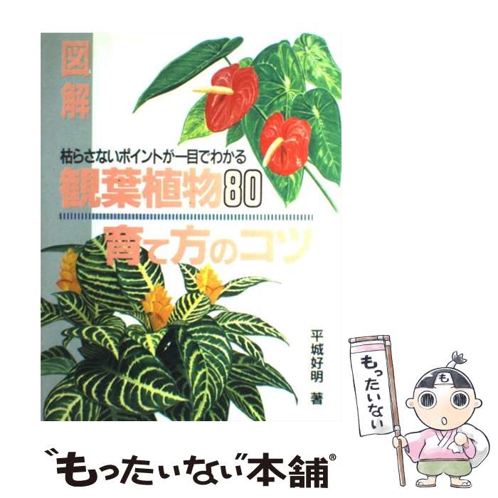 【中古】 図解・観葉植物80育て方のコツ 枯らさないポイントが一目でわかる / 平城 好明 / 主婦の友社 ..