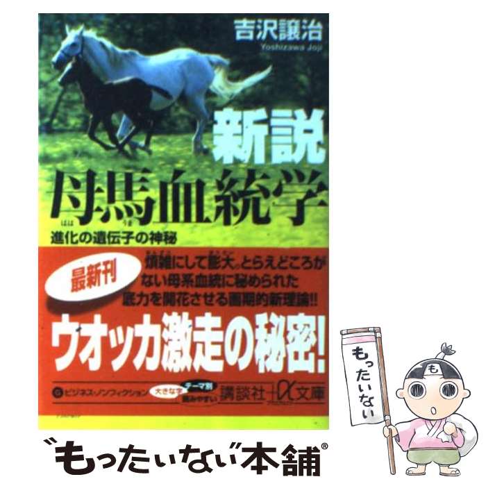 【中古】 新説母馬血統学 進化の遺伝子の神秘 / 吉沢 譲治 / 講談社 [文庫]【メール便送料無料】【あす楽対応】