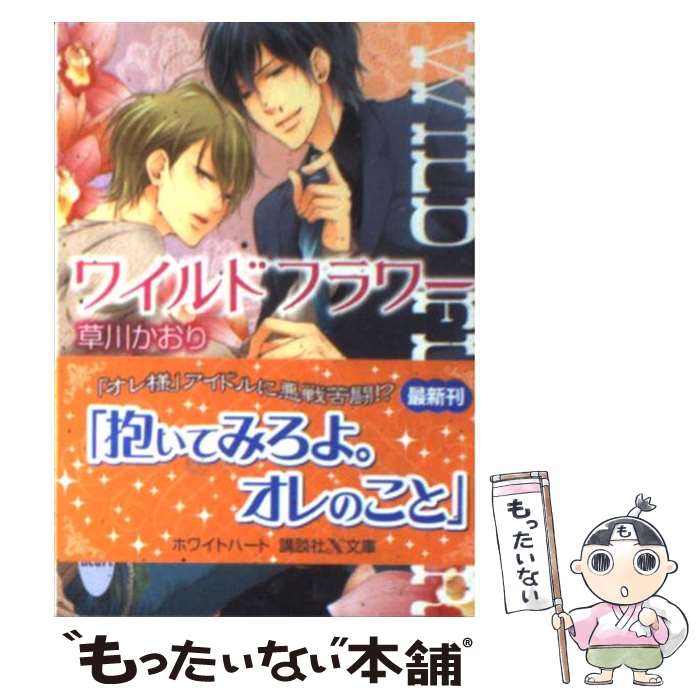 š 磻ɥե /  ,  եߥ / ̼ [ʸ]ڥ᡼̵ۡںûãб