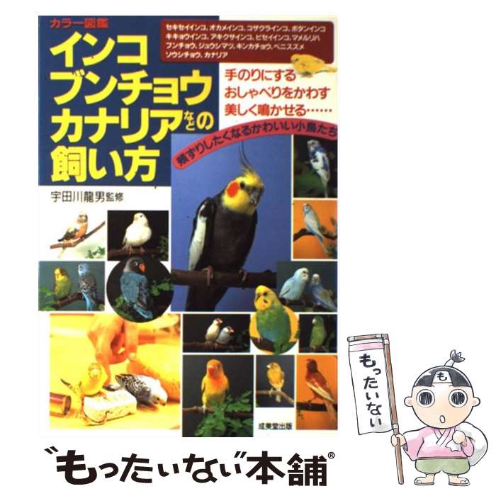 【中古】 かわいい小動物の飼い方 / 道行 めぐ / 西東社 [単行本]【メール便送料無料】【あす楽対応】