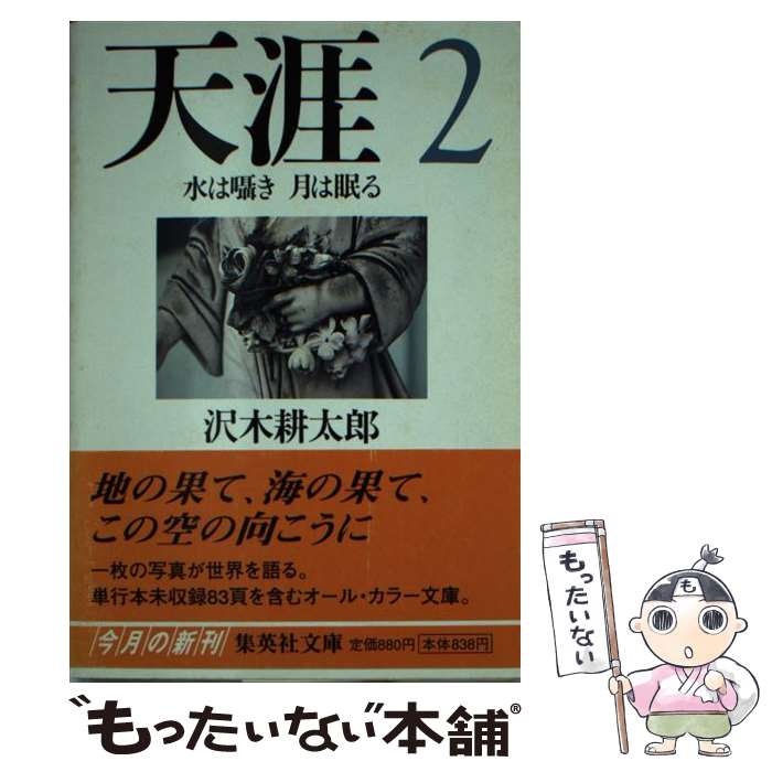 【中古】 天涯 2 / 沢木 耕太郎 / 集英社 [文庫]【メール便送料無料】【あす楽対応】