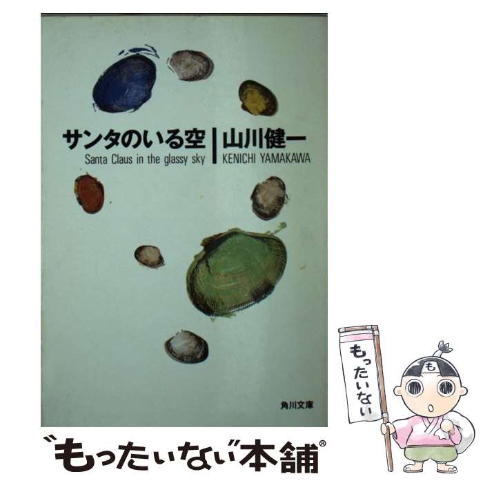 【中古】 サンタのいる空 / 山川 健一 / KADOKAWA [文庫]【メール便送料無料】【最短翌日配達対応】