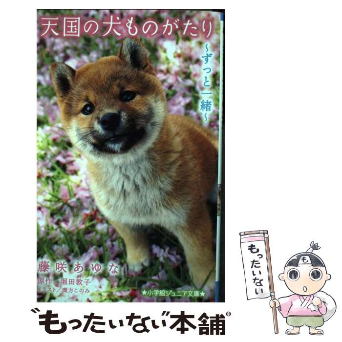 【中古】 天国の犬ものがたり ずっと一緒 / 藤咲 あゆな, 環方 このみ / 小学館 [新書]【メール便送料無料】【最短翌日配達対応】