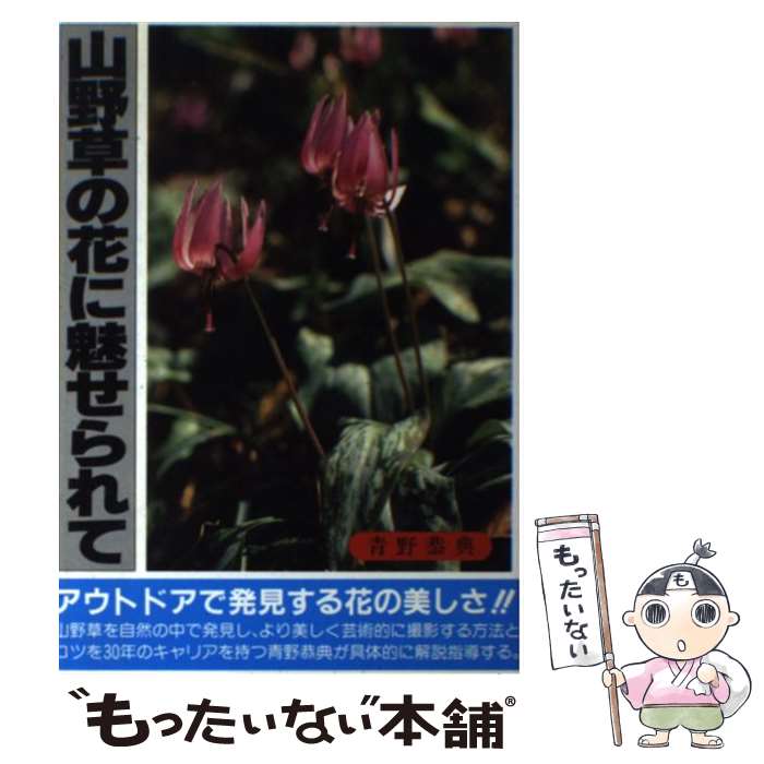 著者：青野 恭典出版社：研光新社サイズ：単行本ISBN-10：4874541321ISBN-13：9784874541326■こちらの商品もオススメです ● 山野草ハンドブック / 日本放送協会 / NHK出版 [単行本] ● 光を生かす花の撮影術 光の使い方で花写真はこんなにきれい / 石井 孝親 / 日本カメラ社 [ムック] ● 初めての山野草 / 腰本 文子 / 集英社 [文庫] ■通常24時間以内に出荷可能です。※繁忙期やセール等、ご注文数が多い日につきましては　発送まで48時間かかる場合があります。あらかじめご了承ください。 ■メール便は、1冊から送料無料です。※宅配便の場合、2,500円以上送料無料です。※最短翌日配達ご希望の方は、宅配便をご選択下さい。※「代引き」ご希望の方は宅配便をご選択下さい。※配送番号付きのゆうパケットをご希望の場合は、追跡可能メール便（送料210円）をご選択ください。■ただいま、オリジナルカレンダーをプレゼントしております。■お急ぎの方は「もったいない本舗　お急ぎ便店」をご利用ください。最短翌日配送、手数料298円から■まとめ買いの方は「もったいない本舗　おまとめ店」がお買い得です。■中古品ではございますが、良好なコンディションです。決済は、クレジットカード、代引き等、各種決済方法がご利用可能です。■万が一品質に不備が有った場合は、返金対応。■クリーニング済み。■商品画像に「帯」が付いているものがありますが、中古品のため、実際の商品には付いていない場合がございます。■商品状態の表記につきまして・非常に良い：　　使用されてはいますが、　　非常にきれいな状態です。　　書き込みや線引きはありません。・良い：　　比較的綺麗な状態の商品です。　　ページやカバーに欠品はありません。　　文章を読むのに支障はありません。・可：　　文章が問題なく読める状態の商品です。　　マーカーやペンで書込があることがあります。　　商品の痛みがある場合があります。
