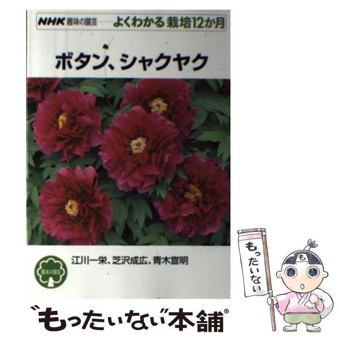 š ܥ󡢥㥯䥯 /   / NHK [ñܡʥեȥС]ڥ᡼̵ۡںûãб